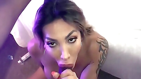 Amateur brunette with tattooed pussy gets deepthroated